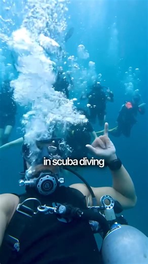 Chelliah Subramanian | Adventure Travel Guide on Instagram: "Most people think scuba diving needs a license or certification — but that’s not always true. Here’s how beginners can experience scuba diving safely without doing a full course. Watch before you plan your dive! ( scuba diving, beginner diving, scuba without license, travel adventure, underwater experience, diving tips, vacation activity )"