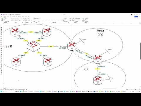 085 Setting up Loopbacks