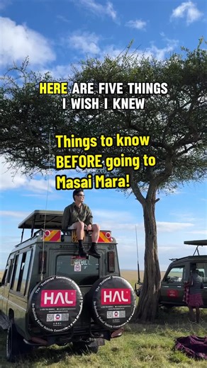 “五个必知事项：前往马赛马拉旅游指南”