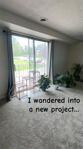 👉 Condo Redesign Begins | Before