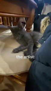 wait for it. #cat #strangerthings #art #funny #meme #fyp #foryou #viral