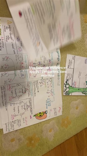 Révisions SVT : Mes fiches expliquées | TikTok
