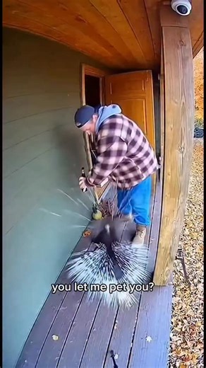 Sardor | Goal: UFS on Instagram: "trust the process The Boy Who Harnessed the Wind (2019), directed by Chiwetel Ejiofor, tells the inspiring true story of William Kamkwamba, a Malawian boy who uses his ingenuity to save his village from famine. After being forced to leave school due to his family’s financial struggles, William educates himself using library books and devises a plan to build a wind turbine from scrap materials. His invention brings much-needed irrigation to the drought-stricken l