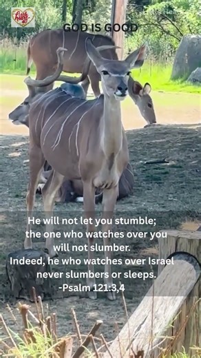 Psalm 121:3 | He will not let your foot slip he who watches over you will not slumber