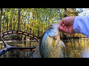 Fall Crappie Fishing SECRETS: personal Tricks Revealed!