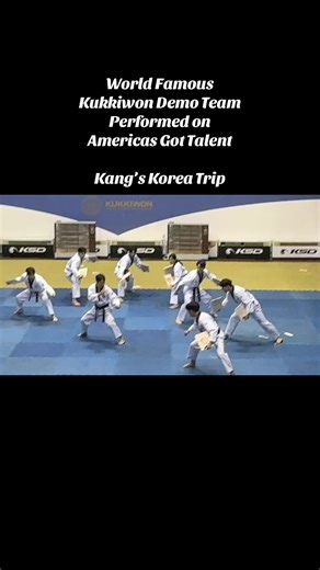 Kukkiwon Demo Team: Taekwondo's Global Ambassadors