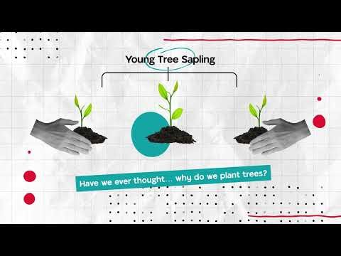 What Do You Need To Know About Takaful ?