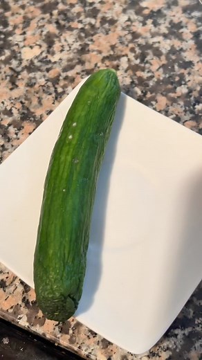 20K views · 245 reactions | This is what mold looks like under the microscope  I always wanted to get a microscope so I finally got one and now we can put a bunch of stuff under the scope to see them up close and personal! LMK what you want to see next! | Growithjessie | Facebook