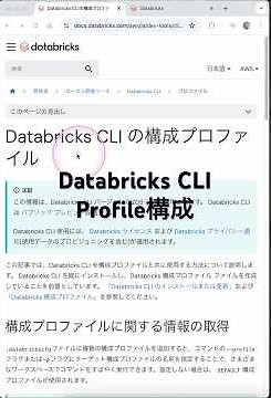 2. I tried configuring a profile to access the workspace from the Databricks CLI #databricks #cic...