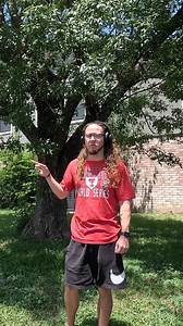 1.6M views · 114K reactions | This Yard Had The Whole Neighborhood Frustrated! #blessingboys #txmowing #overgrownyard #mowing #edging #cleanup #asmr #satisfying #cleaning #fyp #fypシ #viral #viralvideo #transformation #overgrown | Blessing Boys | Facebook