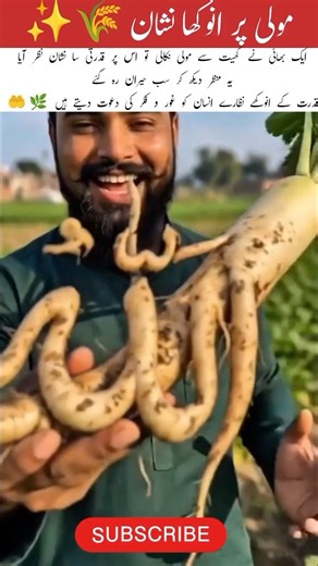 Unique Mark on a Radish 🌾✨ #youtubeshorts #trendingshorts #islamicvideo #youtubevideos #quran