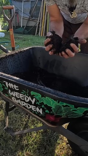 MY 21 DAY COMPOST IS READY! #gardening #permaculture #organic #growyourfood #nature | The Weedy Garden