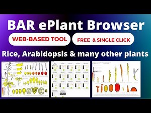 Get any gene expression | BAR ePlant Browser