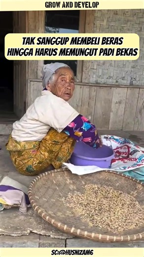Saat orang lain panen, nenek ini memungut sisa demi bertahan hidup‼️#ytshorts