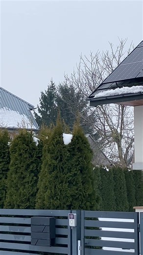 Great Tit - First Spring Song