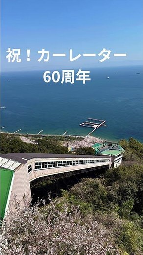 [Kobe's Stunning Scenery] The sea and cherry blossoms are so close! Springtime at Sumaura Park, w...