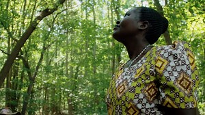 The Ants & the Grasshopper: The Series