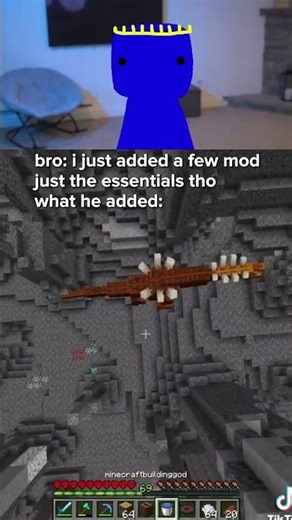 bro only added the essential mods