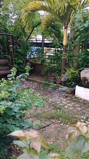 Dog instinct #dog #belgianmalinois #doglife #doglover #octoberchallenge | Dthird Trance