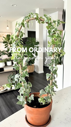 From Aggressive Invader to Garden Gem: The Transformation of English Ivy!✨ Labeled as an aggressive invader, this resilient plant has now turned into a true garden gem, thanks to a touch of creativity and DIY magic. With nothing more than balloon sticks, skewers, and twine, I unleashed the potential of this ordinary vine. I fashioned a DIY stake that not only supported the ivy but also elevated its presence in the garden. As the Ivy gracefully wrapped around the stake, it seemed to embrace its n