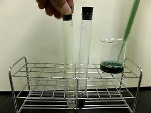 理科中1 様々な気体 12 BTB 塩素色が見える
