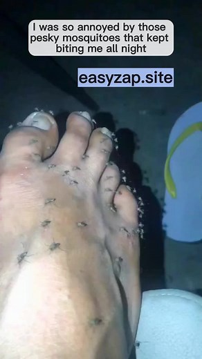 Soluciones eficaces para eliminar mosquitos