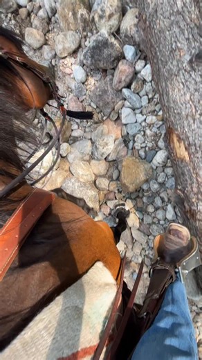 Caillan Hammond on Instagram: "You better believe for the year of the horse we’re going to be spending as much time in the saddle as possible. #horses #barefoot #hoofboots #trailriding #adventure"