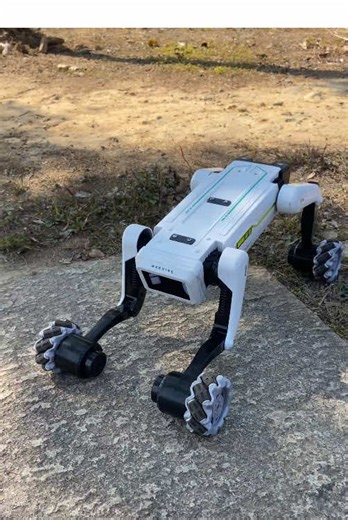 Robot Dog: The Ultimate Gift for Kids