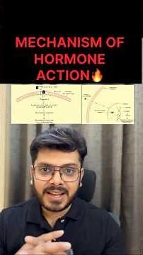 Mechanism of Hormone Action Explained 🔥 NCERT Made Easy | NEET BIOLOGY #biophylum