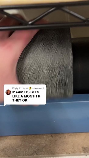 Replying to @Leyna 🌻 I’M TRYING MY GOSH DARN BEST 🫠 #rocktumbler #rocktumbling #hobby #fyp #rocktok #rocktumblingforbeginners #crystals #crystaltok