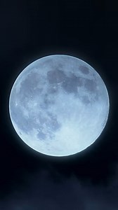 From Christmas to the most decadent Gaultier party. Several guests, one obsession​. Talent Credit : U Seng I, Marin Judas, Mina Serrano & Vladimir McCrary Video Credit : Romain Le Cam #JeanPaulGaultier #jpgperfume | Jean Paul Gaultier