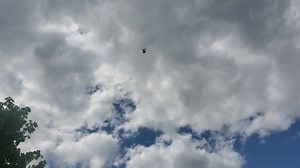 Watch depth perception is must on Amazon Live