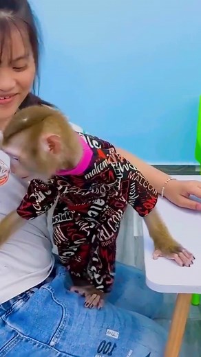Monkey Kaka is so smart, listens and protects her father's food #Kakavideo | Kaka Video