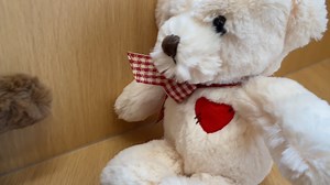 Watch white teddy bear on Amazon Live
