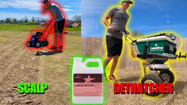 Can a Reel Mower and Liquid Dethatcher Really Fix My Lawn? | The Scalping Process