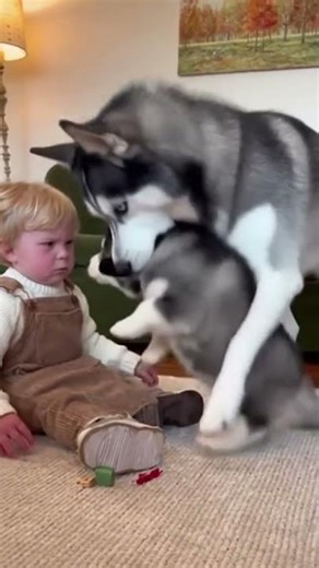 Little Boy vs. Dog: The Cutest Argument Ever! 😂🐶