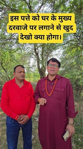 इस पत्ते को घर के मुख्य दरवाजे पर लगाने से खुद देखो क्या होगा।#astrology#remidial#amaging#motivation