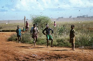 Locust plague outbreak spreads across Africa