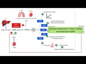 ACE Inhibitors vs ARBs: Which Is Better | PHARMACOLOGY Explained