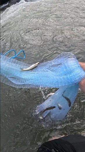 CAST NET ROCKET THROW! NET BLOWS UP WITH SNOW TROUT – INSANE CATCH! #fishing #shorts