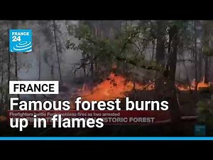 France: Wildfires tear though historic forest of Fontainebleau near Paris • FRANCE 24 English