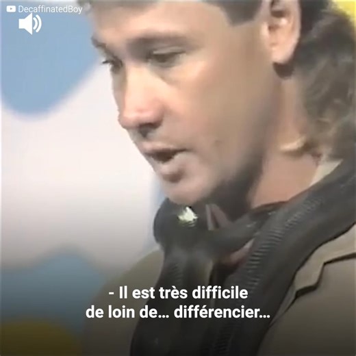 “C’est un python et il ne mordra pas” disait Steve. Grande erreur. Steve Irwin avait beaucoup de connaissances mais il était aussi très téméraire. Son courage était bien plus important que la moyenne ; et ceci l’a fait être le personnage central de moments uniques. Mais quand il n’était pas encore très populaire, le zoologue est apparu dans un programme pour enfants avec un python. Son expérience lui faisait penser que rien de mal ne se passerait. Mais le serpent, imprévisible, est passé à l’act