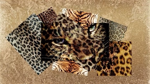 samidha on Instagram: "what reminds YOU of 2016? [tags: leopard print, cheetah print, baddie energy, 2016, 2026, explore page, relatable, deja you, brand launch #2016 #nostalgia #leopardprint #fy0 #explore ]"