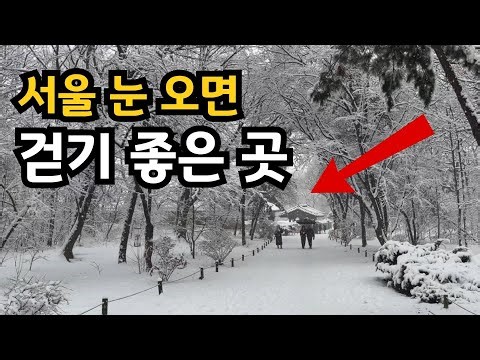 Seoul's Winter Wonderland: Snowy Stroll at Jongmyo Shrine – A Korean Travel Highlight