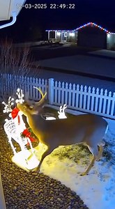 17K views · 66 reactions | Identity theft will not be tolerated. | Jellysmack | Facebook