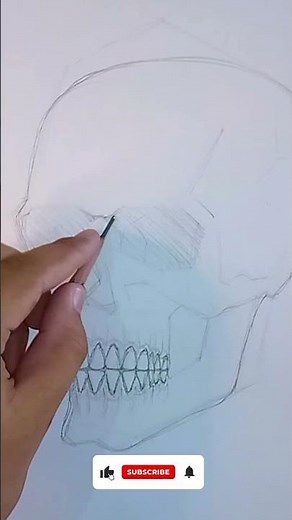 How To Draw A Realistic Skull 💀 Step By Step ✍️ Anyone Can Do This! #anatomy #skull #sketch