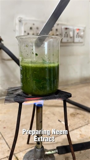 Thats how we go about our day as a pharmacy student | #iubians #pharmacy #laboratory #pharmacist