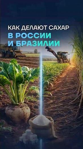 🚜 AGROPARALLELS I SUGAR PRODUCTION #brix #russia #brazil