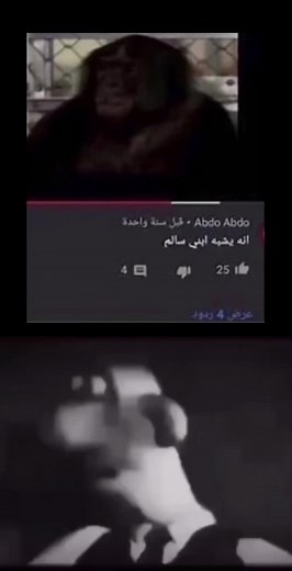 Chimpanzee Emotion Display in Close-Up Shots