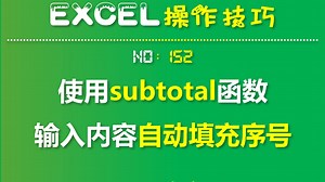 EXCEL技巧152：subtotal函数，输入内容自动填充序号
